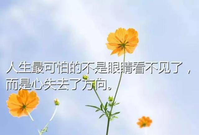 c7eaac4a67204a9c9a2484d937683cd5.jpeg
