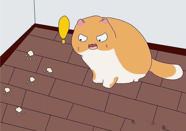 3个方法了解猫的心意