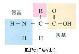 氨基酸,黄腐酸,腐植酸:三大生物刺激剂的作用与区别!