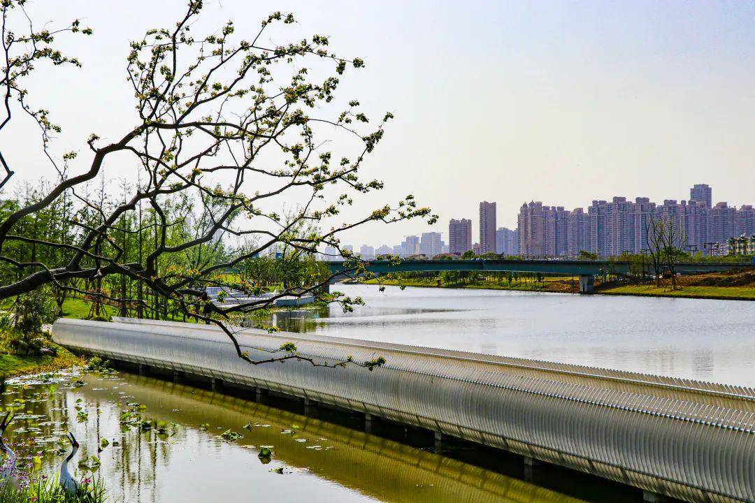 这个公园太惊艳!_伯渎