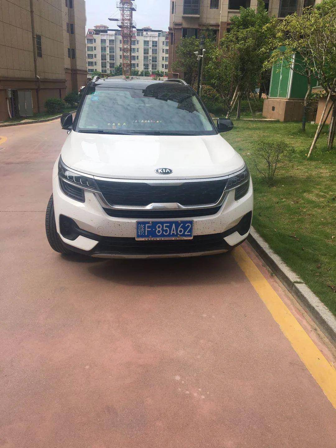 安徽亳州各县区2020g_安徽亳州图片(3)