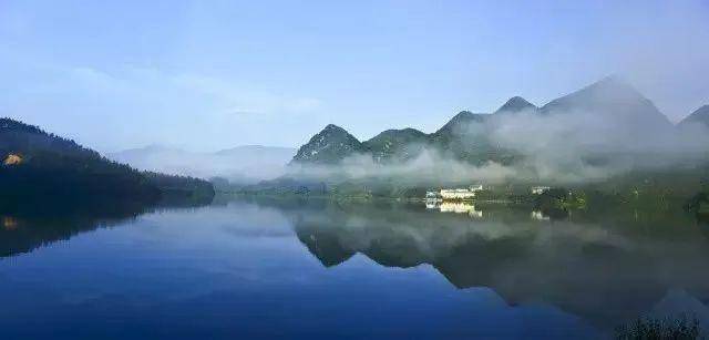 梧桐树 | 走进宝武扶贫点之上林旅游(1)