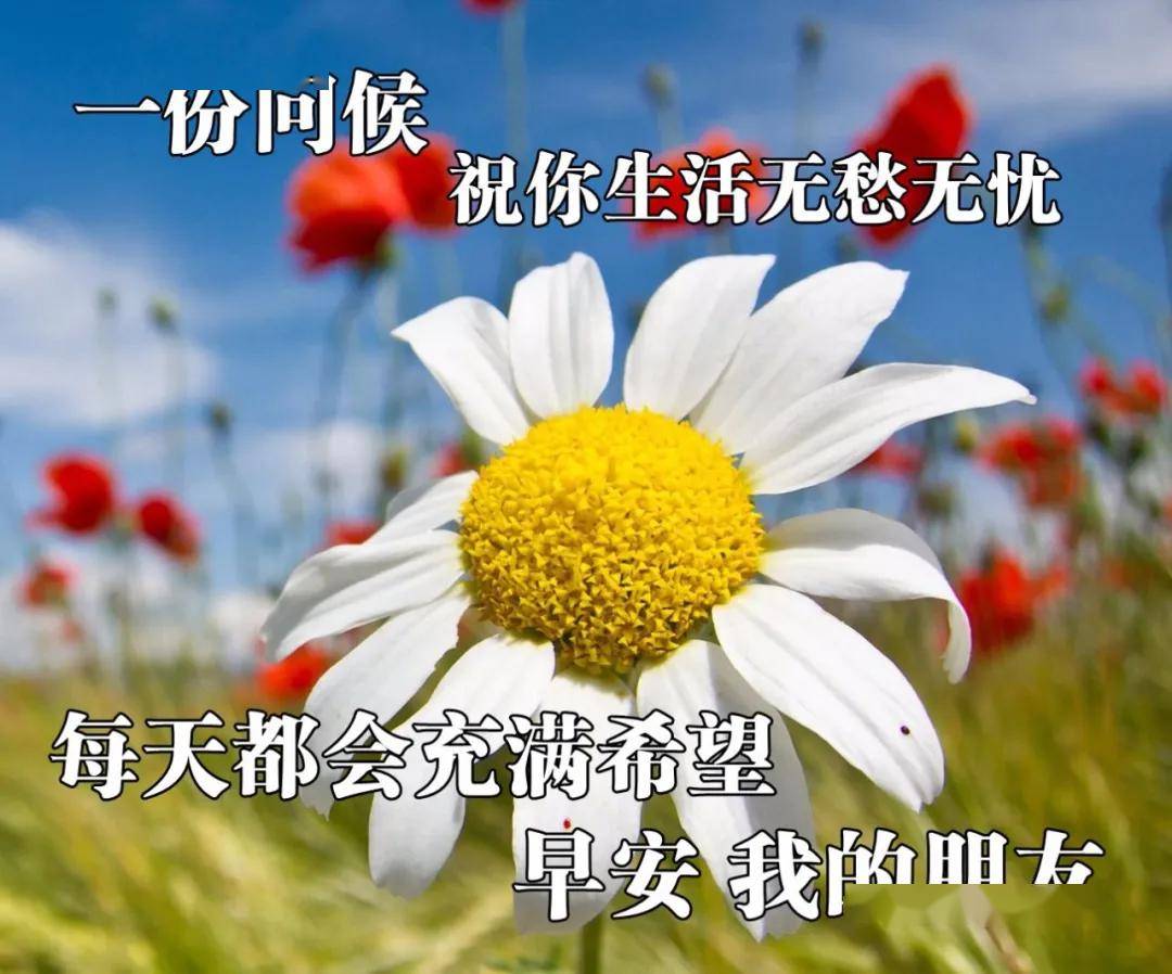 bd6179b1dede40e2b10f56a41094d5ae.jpeg
