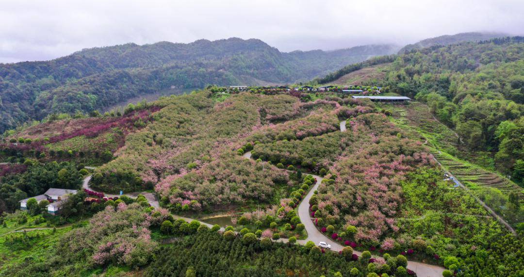 中国特技滑水队落户绥江,天宝山至真武山旅游线路入选全国夏季乡村