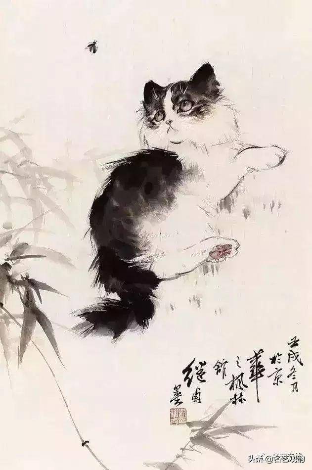 刘继卣 画猫刘继卣 画猫刘继卣 画猫刘继卣 画猫刘继卣 画猫刘继卣