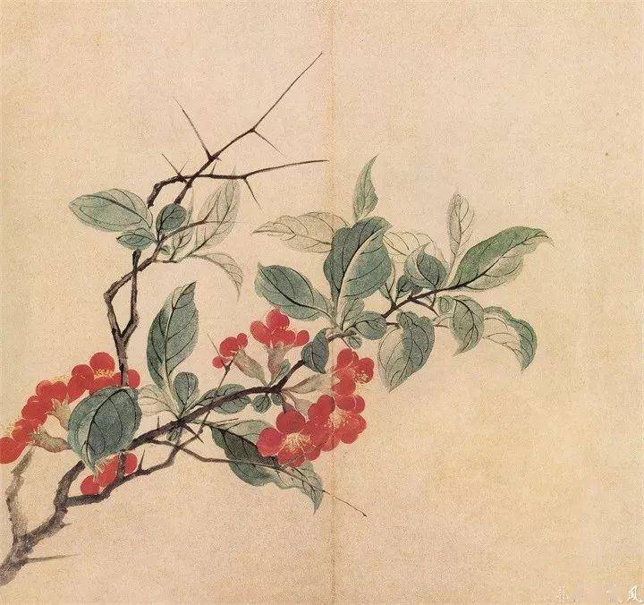 恽寿平的235幅没骨花鸟画,不吃不喝也要看完!