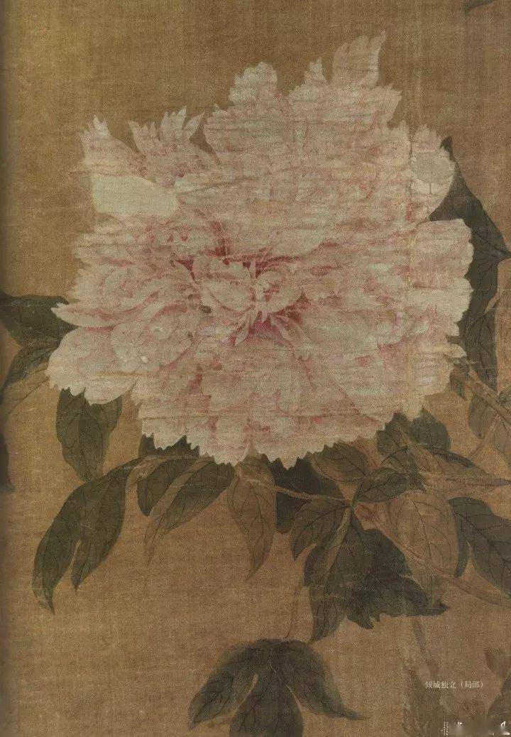 恽寿平的235幅没骨花鸟画,不吃不喝也要看完!