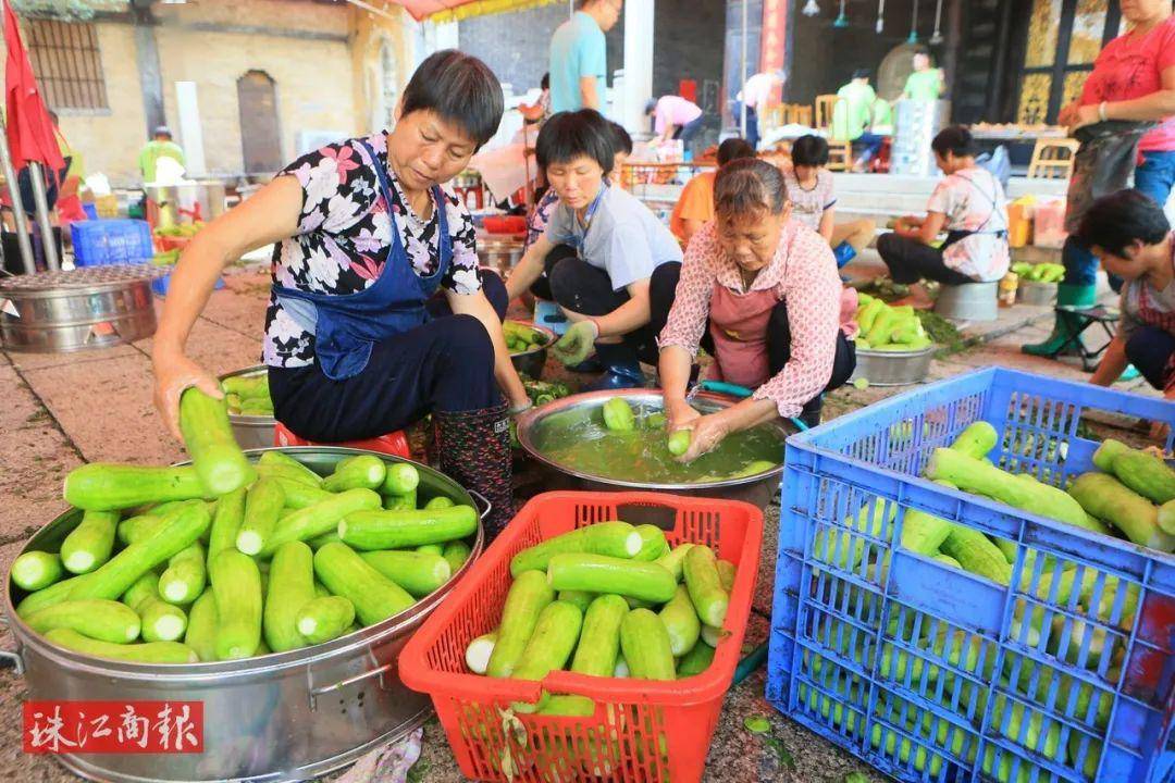 桑麻黑毛节瓜新鲜上市,寻味顺德夏日打卡清单必选项get