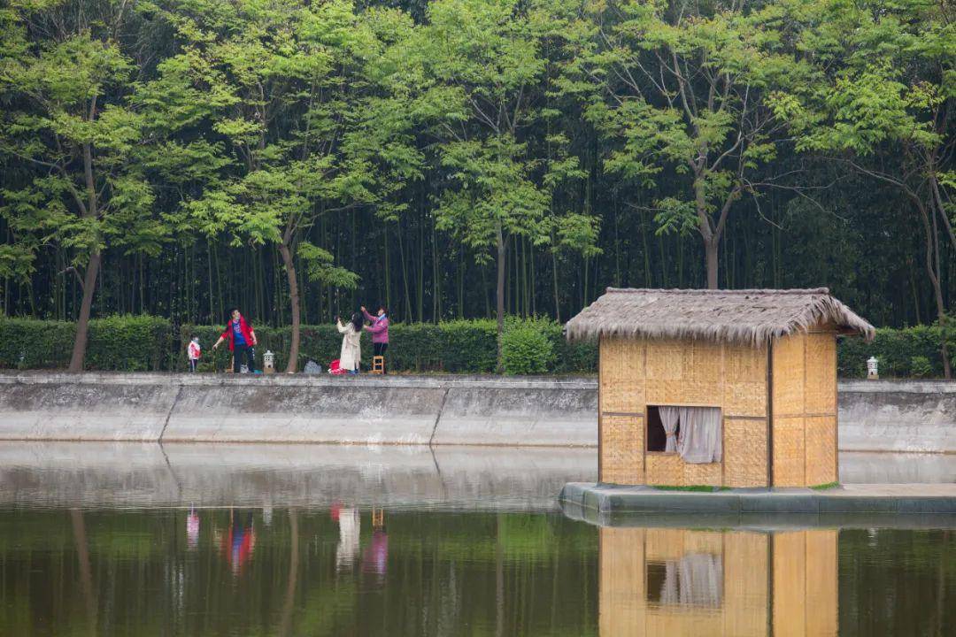 绵阳出发半小时!藏在森林里的民宿小院,垂钓,烧烤,采摘玩够一整天!