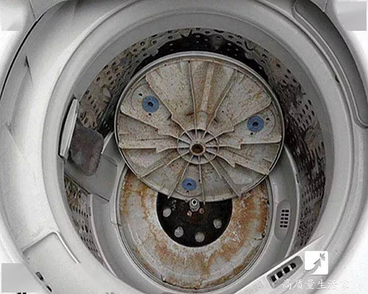 常年不清洗的洗衣机,内部可能是这样的