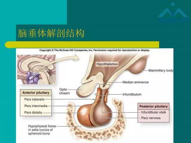 儿童rathke裂囊肿的影像与临床