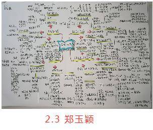 【学科活动】高二政治思维导图大赛