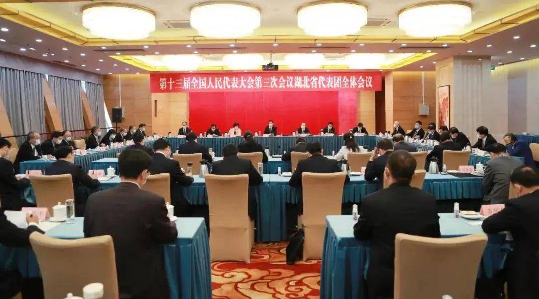 湖北代表团专题学习习近平总书记重要讲话精神应勇主持并讲话王晓东
