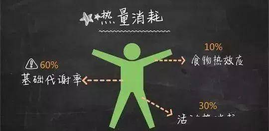 8500cb9b95a94616bb83718b12f948a4.jpeg