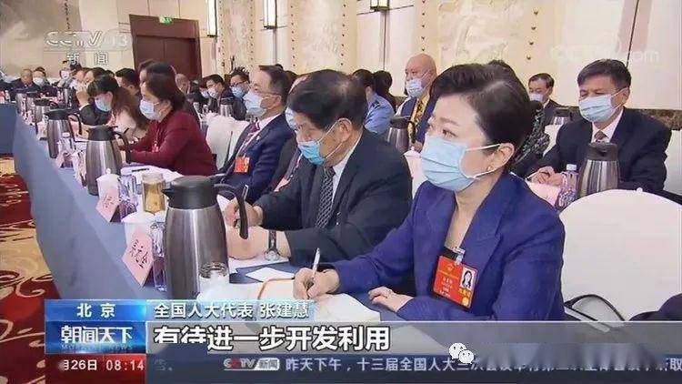 全国人大代表,商丘市市长张建慧:统筹推进疫情防控和经济社会发展