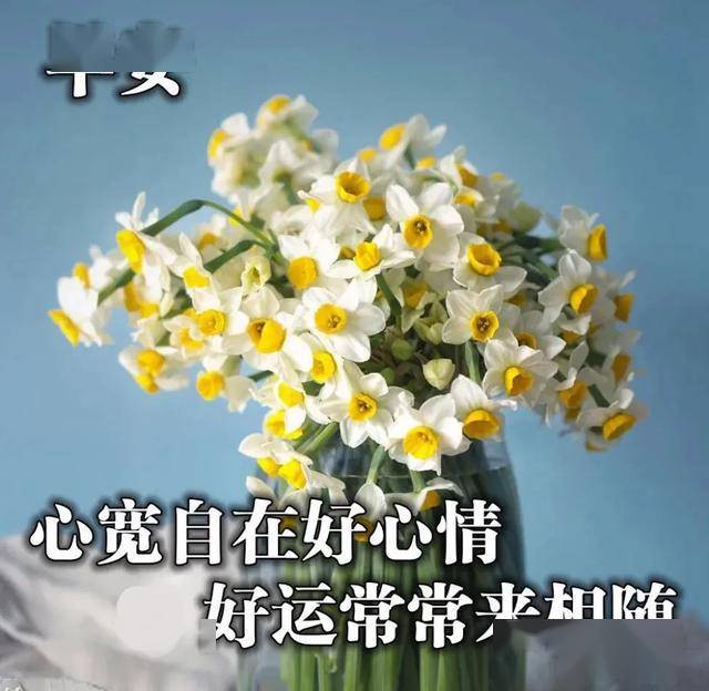 如何拥有好心境 9bcccc1520434982a13ece8b7f321a56.jpeg