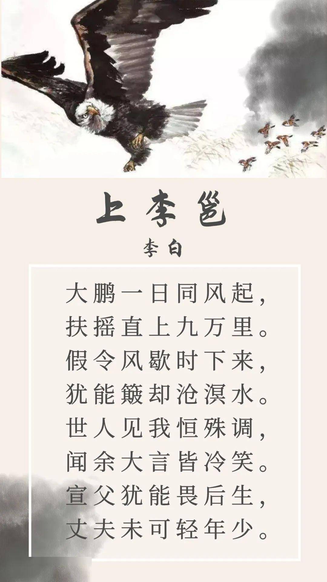 扶摇直上九万里是形容什么的 9feee0107ddd4dbdac12f9a16a494838.jpeg