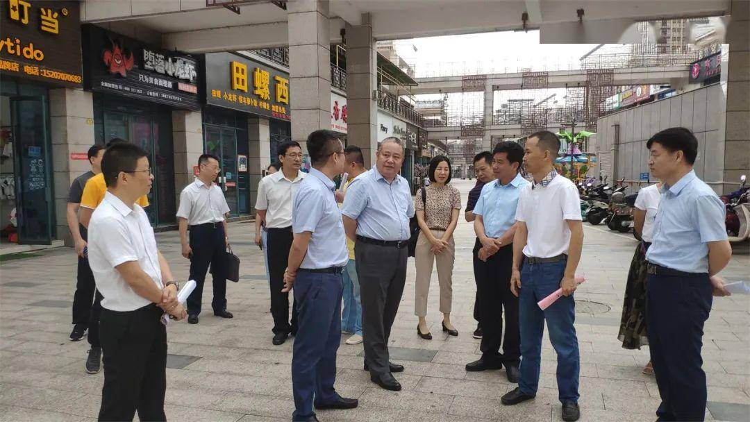 梅林镇GDP_梅林镇新成村航拍照片(3)