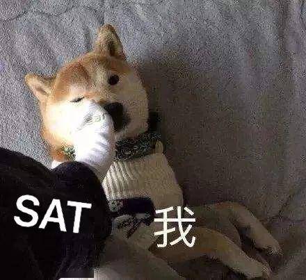 机票抢不到，要不抢一抢SAT考位吧