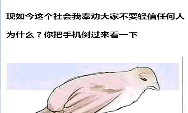 e4e535bd89c24478ac75e4a5f09f5291.png