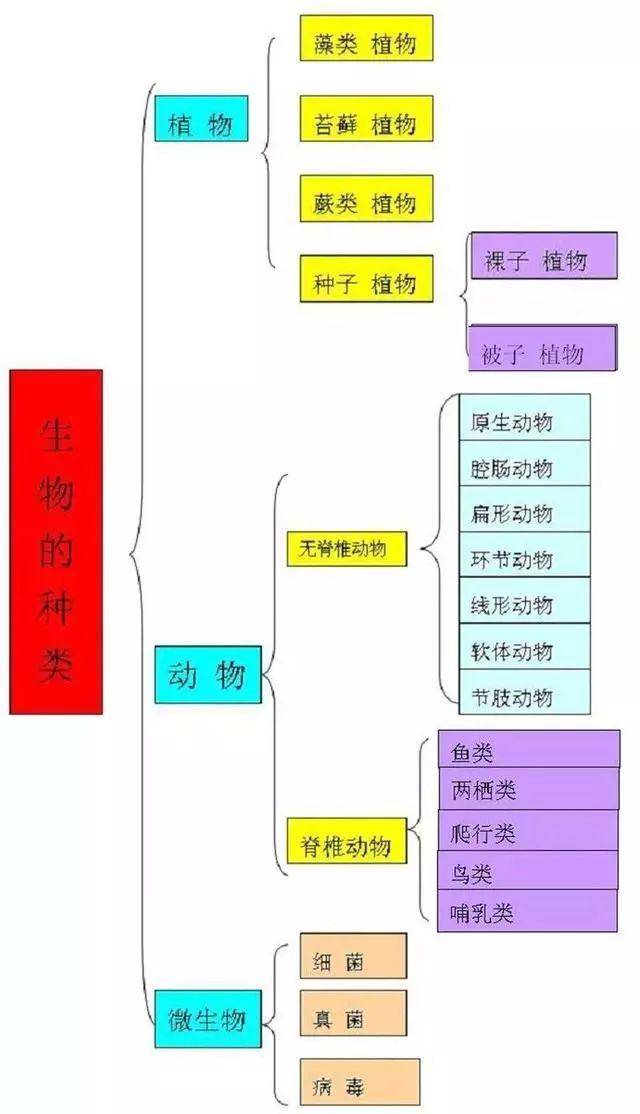 初中生物:12张知识点结构图,帮你理清复习思路!