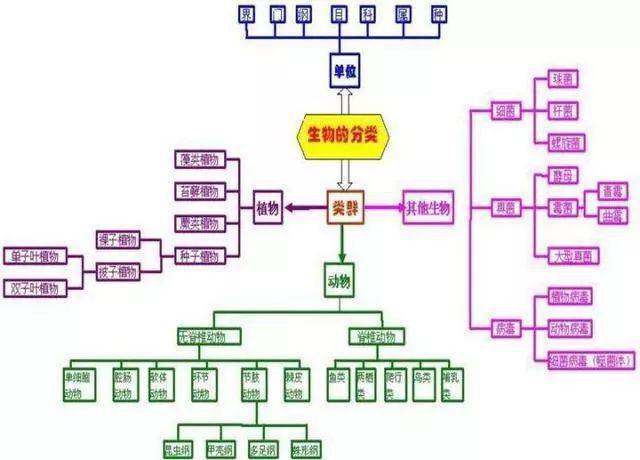 初中生物:12张知识点结构图,帮你理清复习思路!