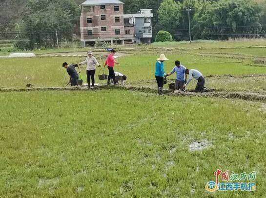 顺峰乡人口_顺峰康王皮炎平图片