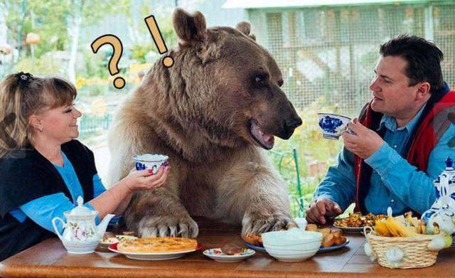 国内怎么养拇指猴 e5d9603202a14a128b113cbe2d8d3986.jpeg