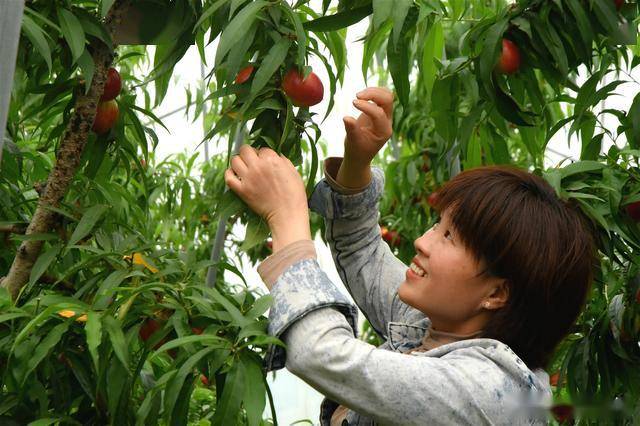 开云体育 Kaiyun.com 官网入口风靡农村的休闲农业被奉为“摇钱树”警惕美