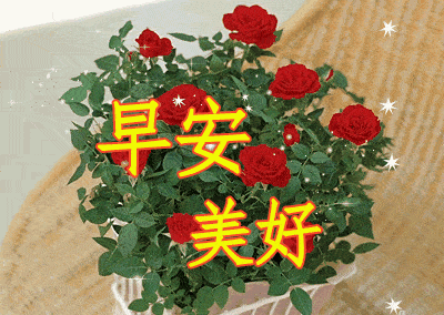 2020夏天问候早上好动态表情图片鲜花带字问候早晨好祝福语图片
