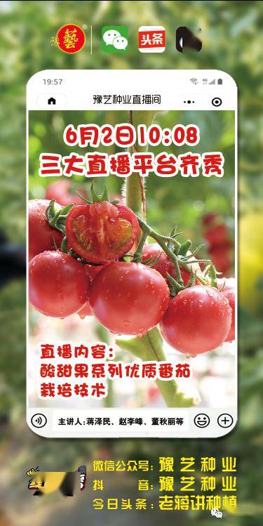 云直播|第五届河南农大扶沟蔬菜研究院早春新优品种观摩会