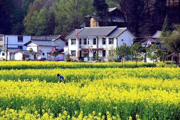 诗画田野幸福家园康县美丽乡村建设的成功实践