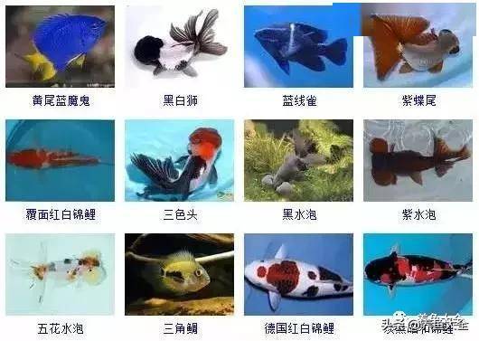 658711e7f5de4f85b39b68ff997e4fdf.jpeg
