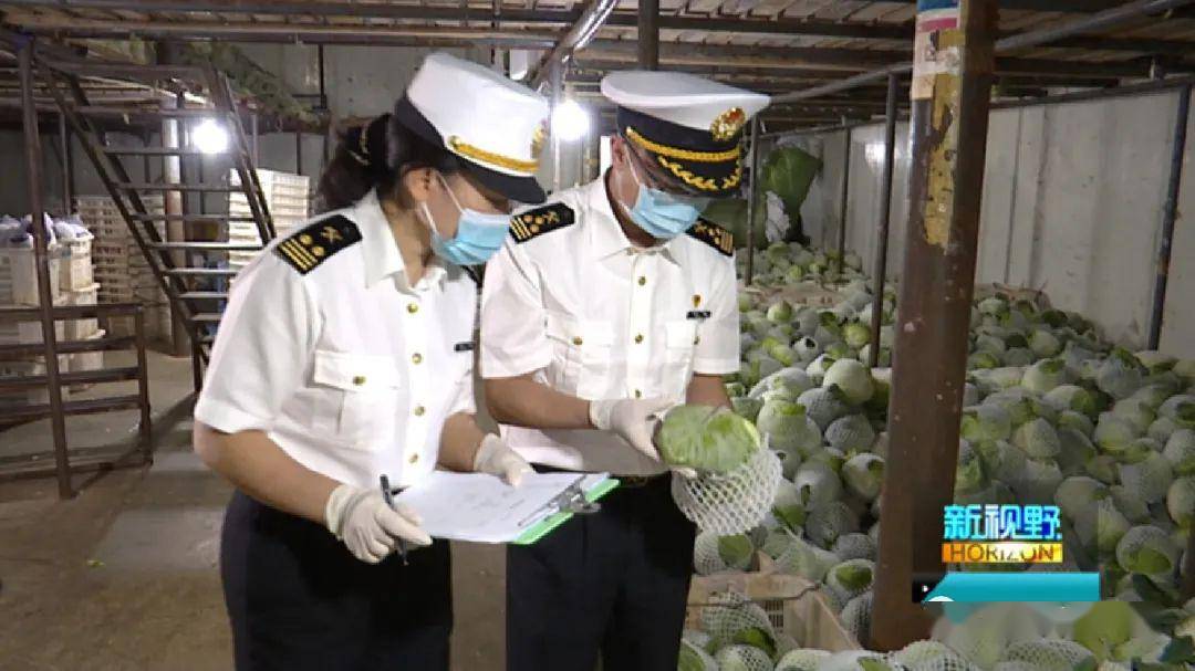 2020年云南省外贸出_支持园区发展项目!云南省2020年度中央外经贸发展专(2)