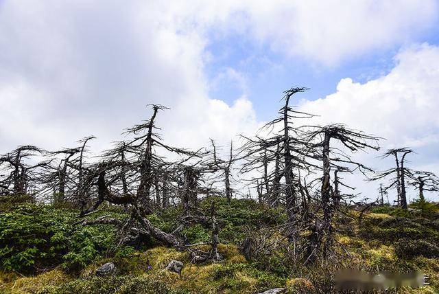 鳌山人口_简阳鳌山公园图片