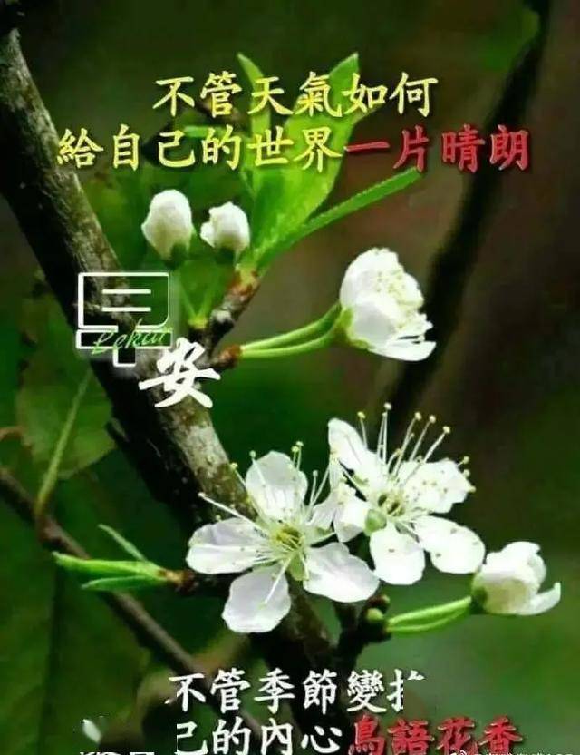 清晨的祝福送到身边,今天又是美好的一天,祝你幸福吉祥,早晨好