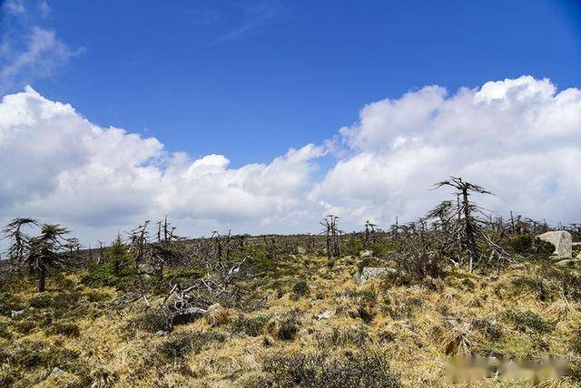 鳌山人口_简阳鳌山公园图片