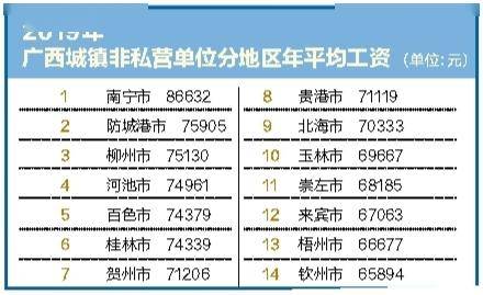 19年非私营单位人均工资_发工资图片(2)