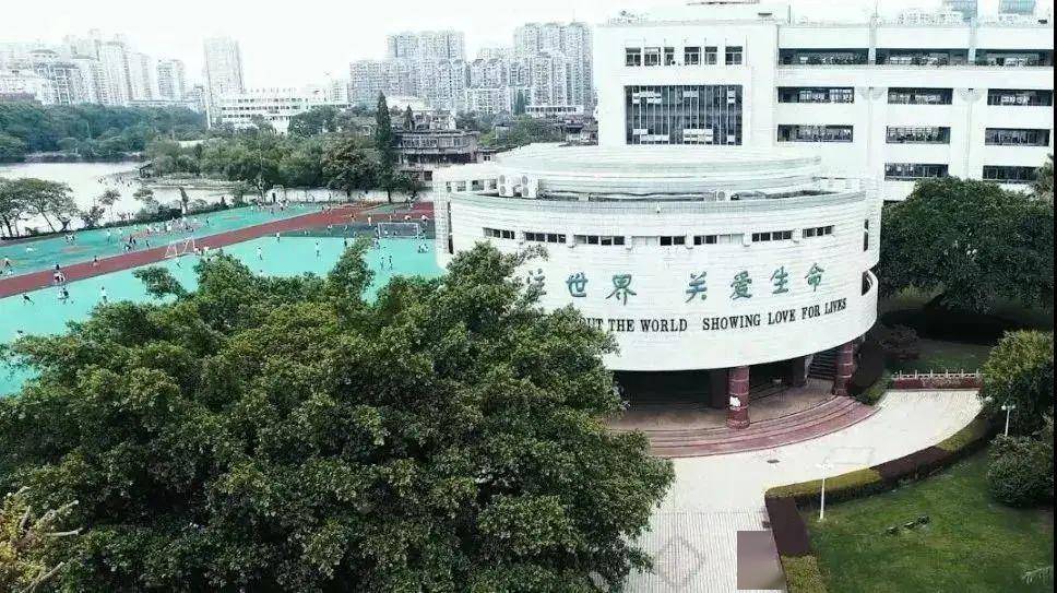 温州名校籀园小学(国际部)停止招生!家长吵翻天