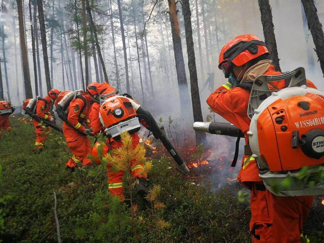 森林防火丨你不能不知道的消防常识