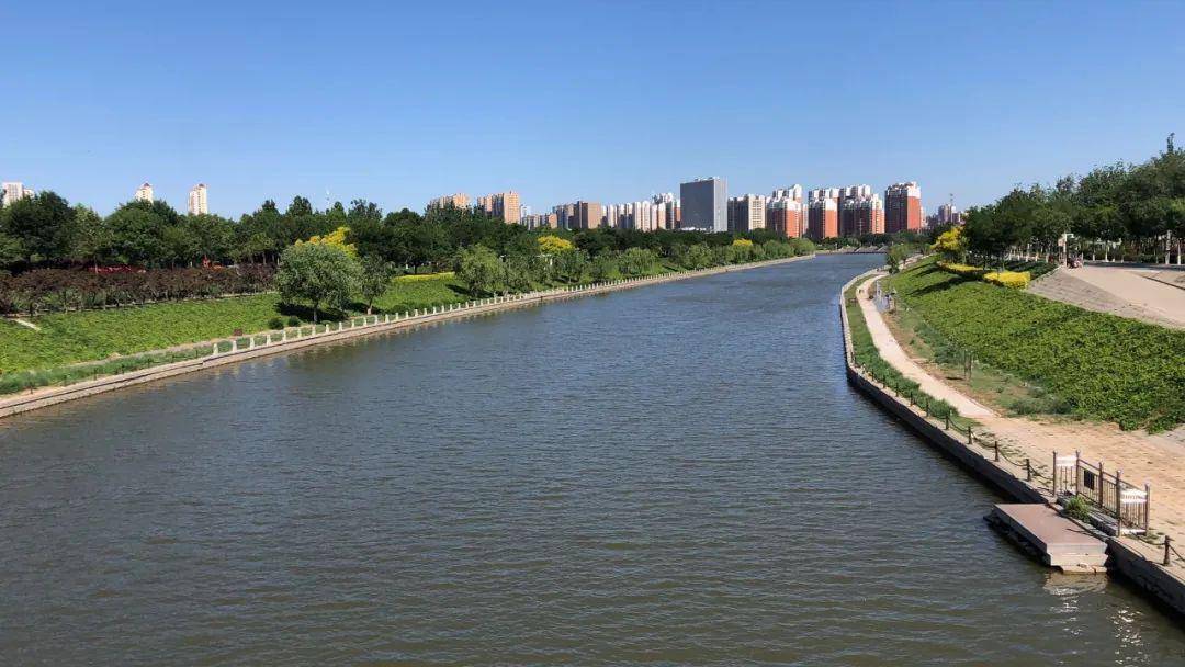 衡水滏阳河沿岸新建两处遛狗小公园