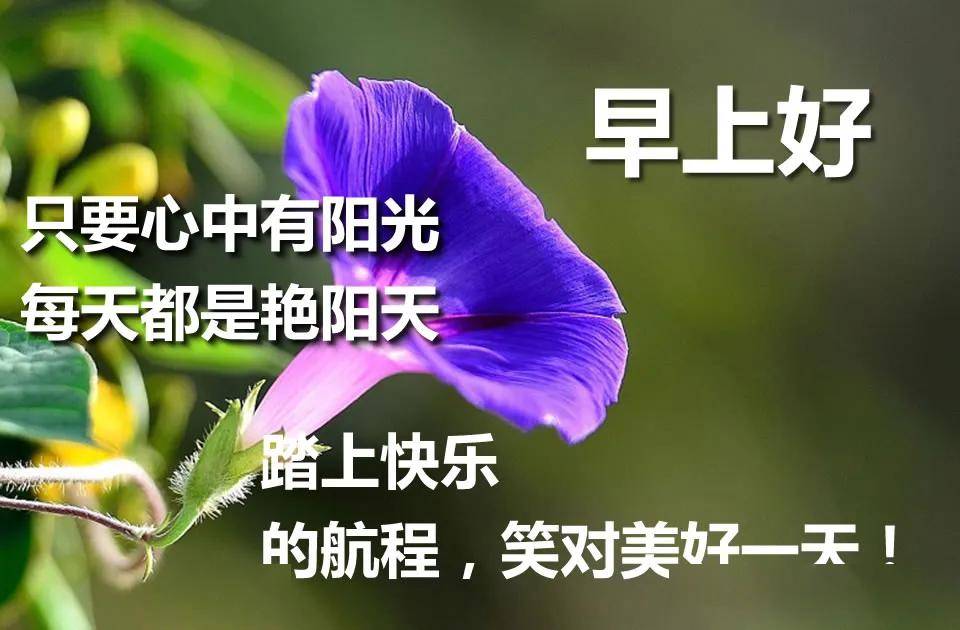 大家早上好,从六月起做一个幸福的人,早上好图片祝福