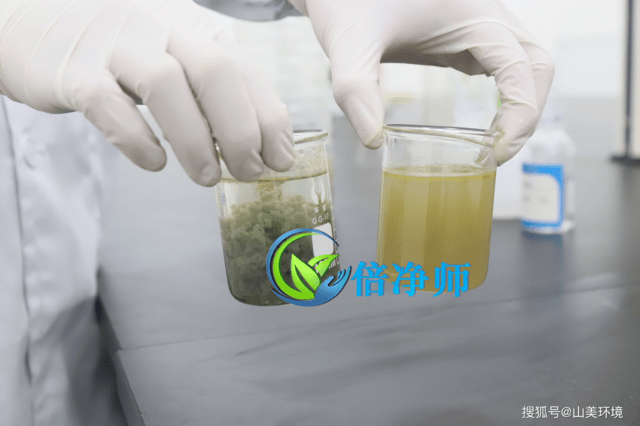 上海低溫等離子凈化設備廠屠宰污水破乳劑快速廢水除油絮凝
