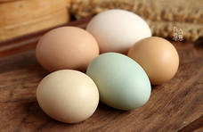 鸡蛋营养吃法排行榜，西红柿炒蛋没上榜，前三名是什么？建议了解