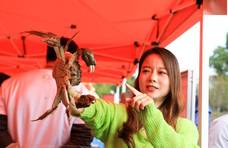一年吃掉6万吨！上海人钟爱的大闸蟹竟然是科研成果，本地6成蟹都是它！