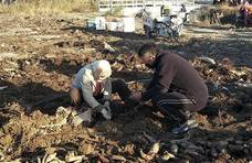 黏土地里趟出乡村振兴特色路 ——建设银行天津市分行以金融之力惠民兴村