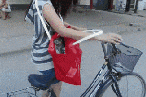 苏泊尔鲜呼吸电压力锅,快手菜,做比说更快