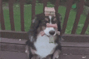 搞笑gif趣图:大师兄,我现在才知道,原来你是个坏人!