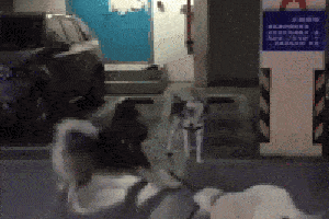 搞笑gif段子:小姐姐们,不冷吗,全都是腿