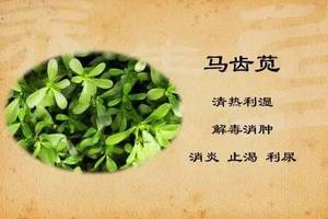 京沪三甲名医会诊即将开启 权威专家精湛技术齐聚上海健桥风湿病医院